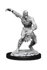 Wizkids D&D Nolzur's - Wight & Ghast 90021