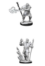 Wizkids D&D Nolzur's - Male Firbolg Druid 90013