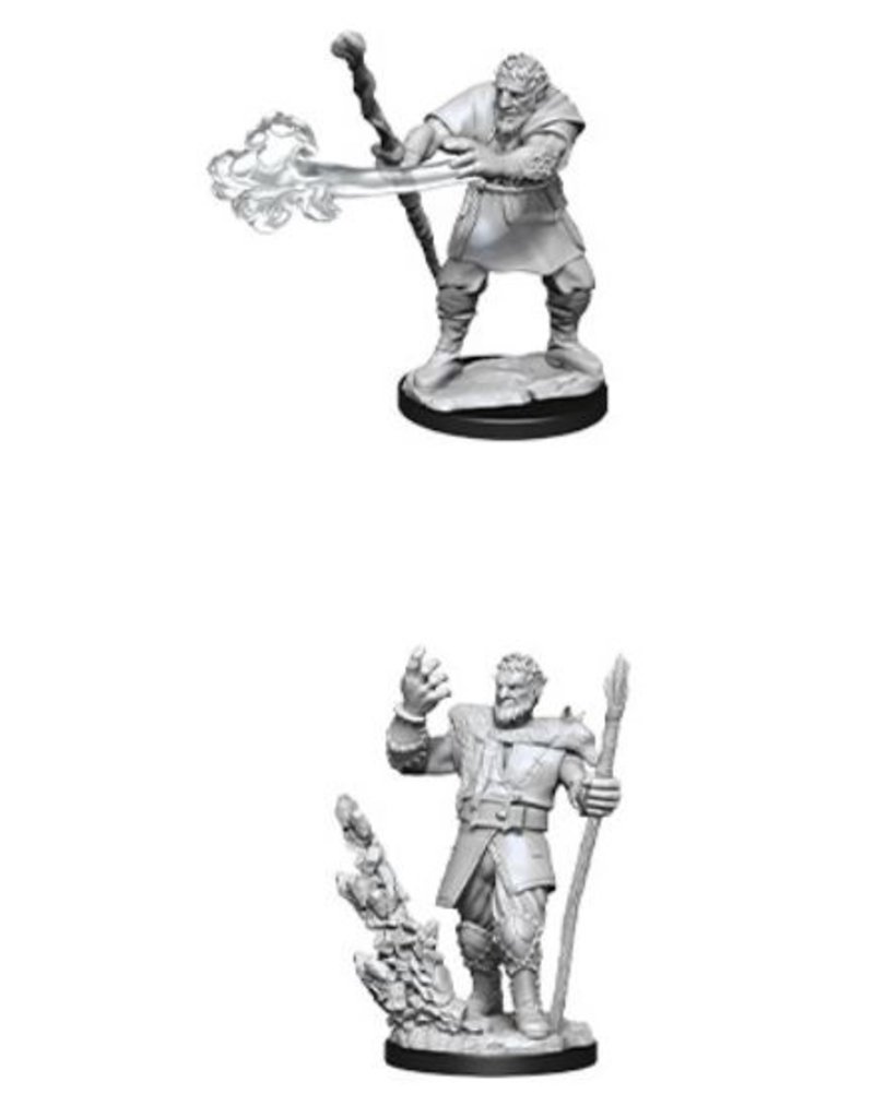 Wizkids D&D Nolzur's - Male Firbolg Druid 90013