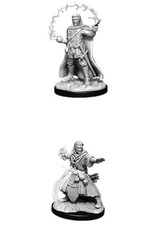 Wizkids D&D Nolzur's - Male Human Wizard 90011