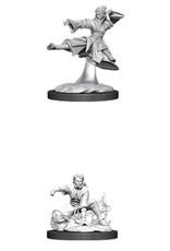 Wizkids D&D Nolzur's - Female Human Monk 90008