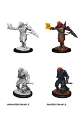 Wizkids D&D Nolzur's - Male Dragonborn Paladin 90002