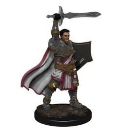 Wizkids Nolzur's - Male Human Paladin 90060