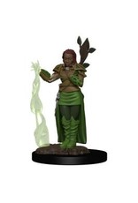 Wizkids Icons of the Realms - Human Female Druid 93009