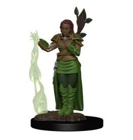Wizkids Icons of the Realms - Human Female Druid 93009