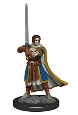 Wizkids D&D Icons of the Realms Premium  Human Cleric 93023