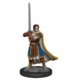 Wizkids D&D Icons of the Realms Premium  Human Cleric 93023