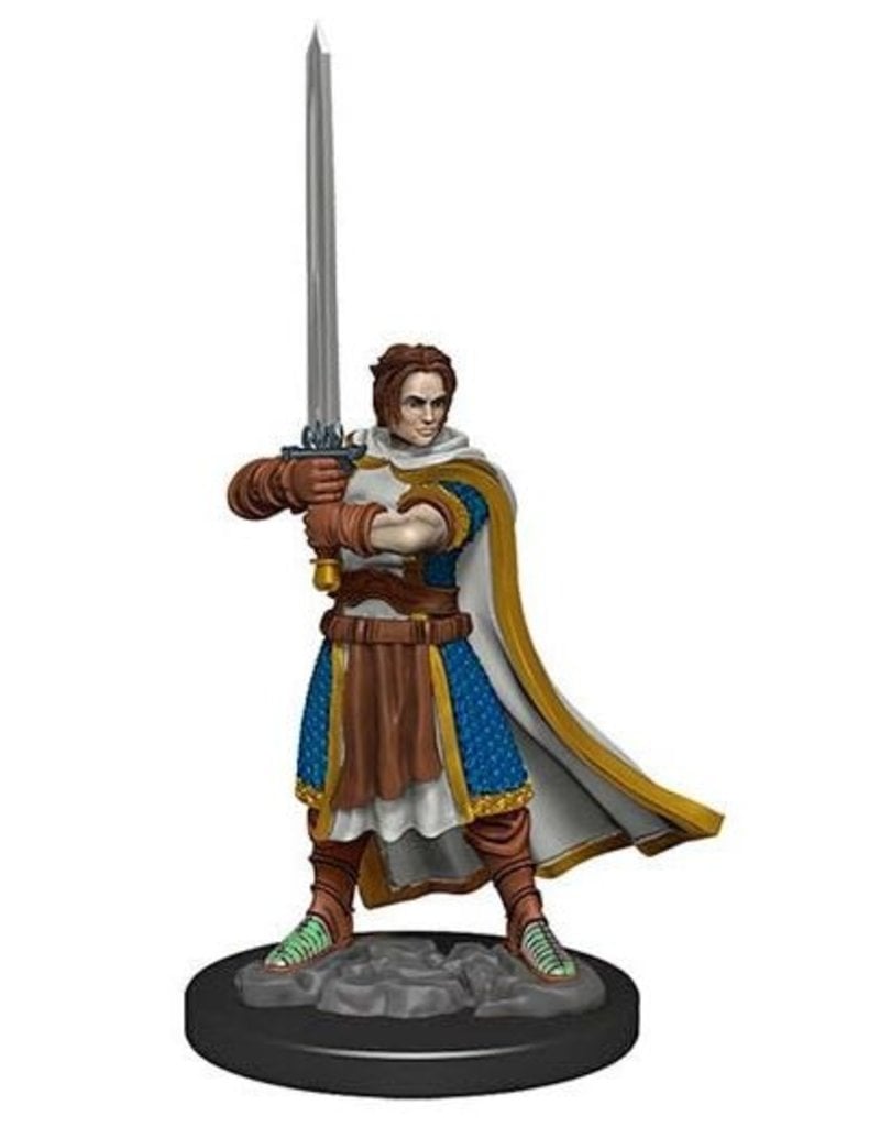 Wizkids D&D Icons of the Realms Premium  Human Cleric 93023