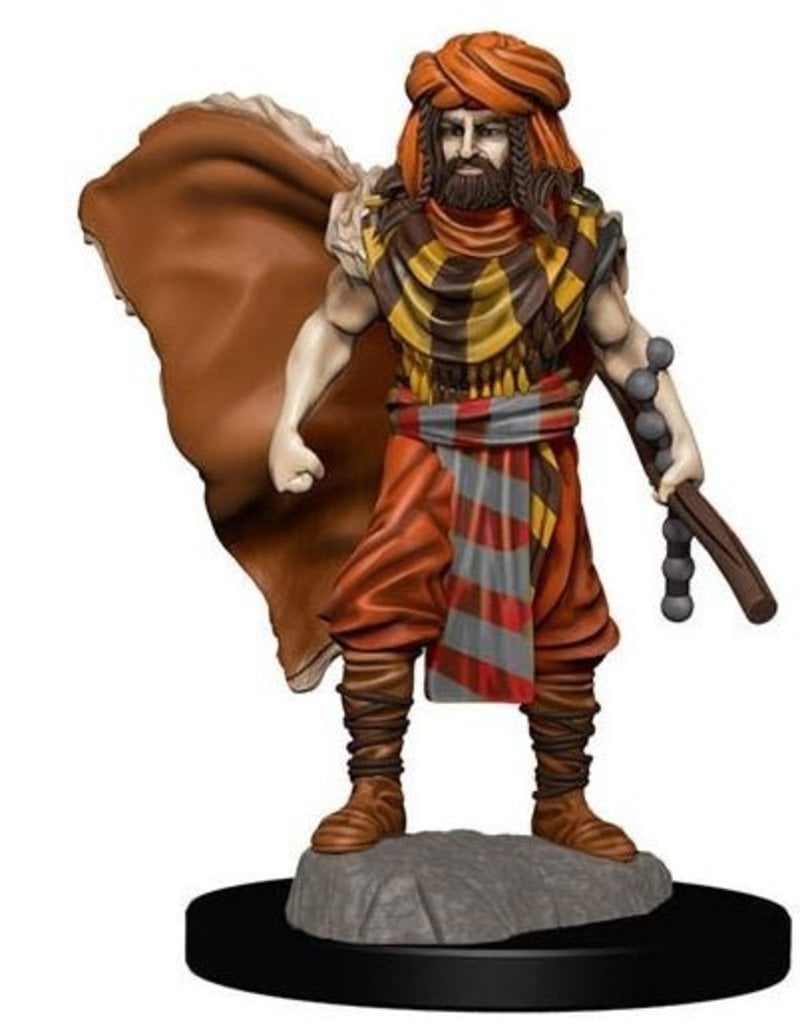 Wizkids D&D Icons of the Realms Premium Miniatures Human Druid