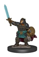 Wizkids D&D Icons of the Realms Premium Miniatures Dwarf Paladin