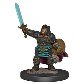 Wizkids D&D Icons of the Realms Premium Miniatures Dwarf Paladin