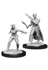 Wizkids D&D Nolzur's - Shifter Rogue Female 90148