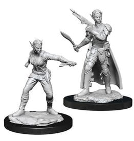 Wizkids D&D Nolzur's - Shifter Rogue Female 90148