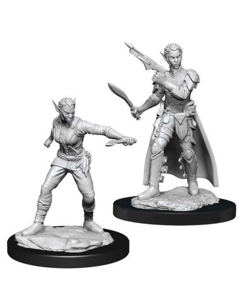 Wizkids D&D Nolzur's - Shifter Rogue Female 90148