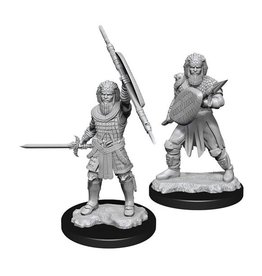 Wizkids D&D Nolzur's - Human Fighter Male 90144