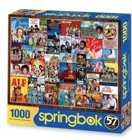 springbok Springbok 1000 piece What's on TV