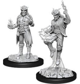 Wizkids D&D Nolzur's - Male Tiefling Sorcerer 90058