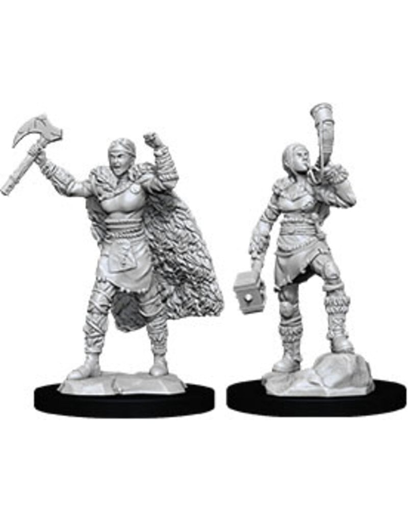 Wizkids D&D Nolzur's - Female Human Barbarian 90056