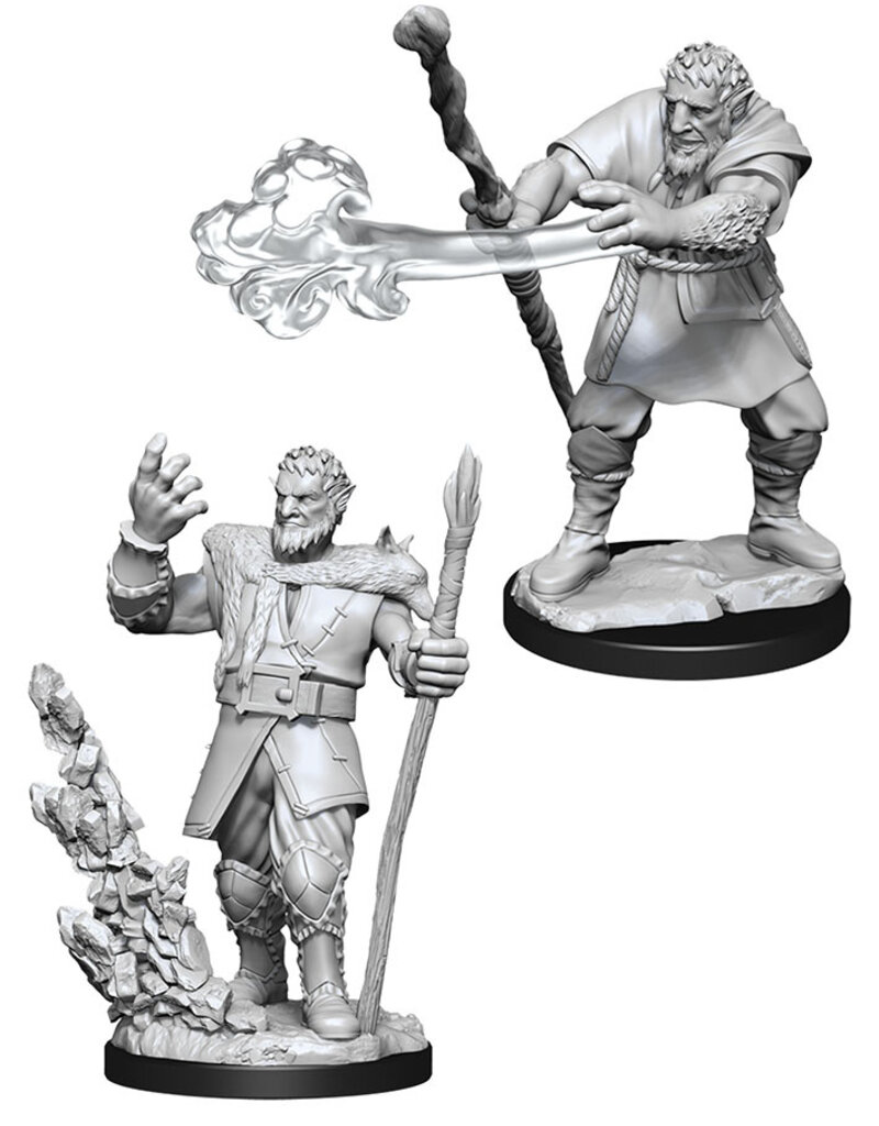 Wizkids D&D Nolzur's - Male Firbolg Druid 90013