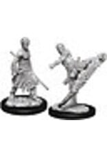 Wizkids D&D Nolzur's - Male Half-Elf Monk 73838