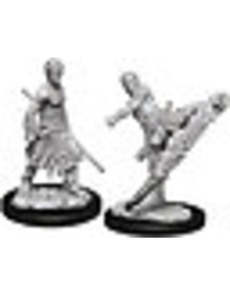 Wizkids D&D Nolzur's - Male Half-Elf Monk 73838