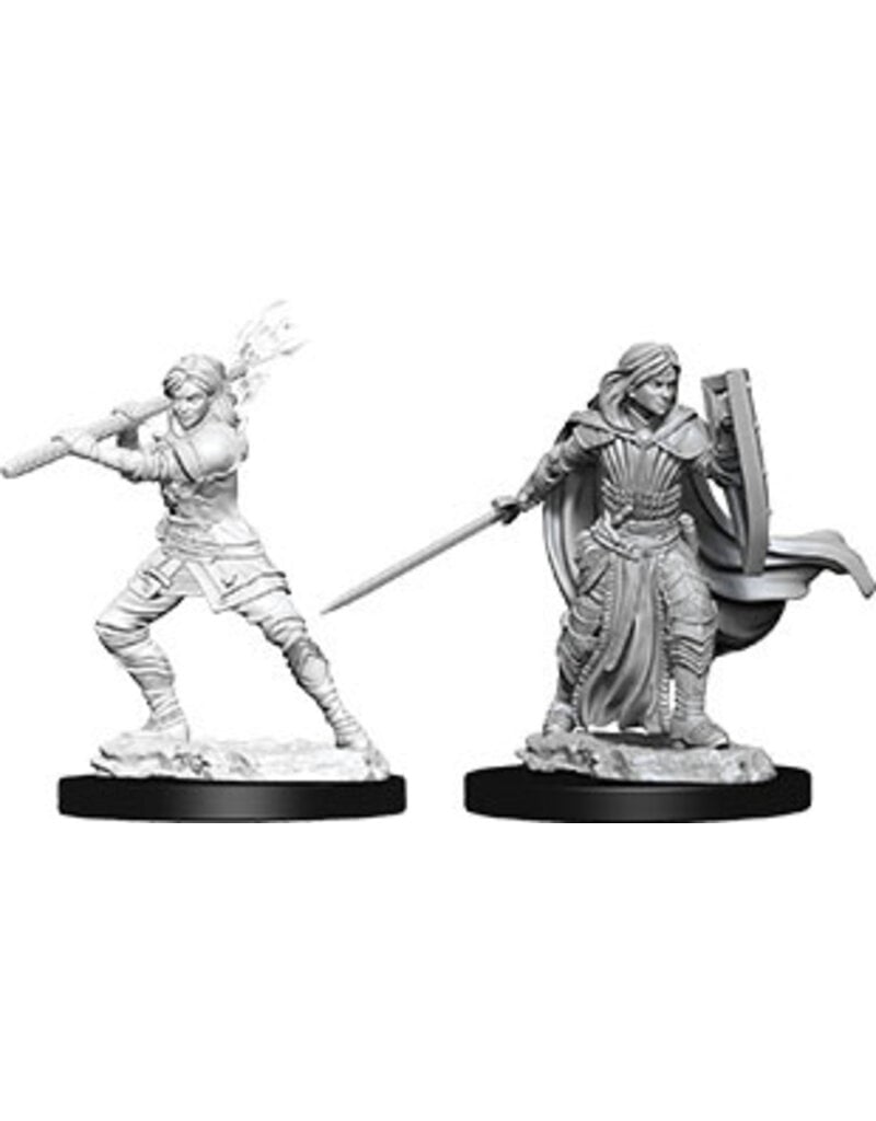 Wizkids D&D Nolzur's  - Female Human Paladin 73830