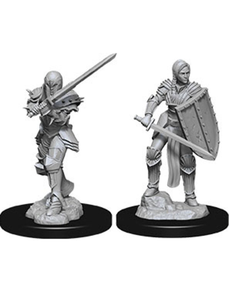 Wizkids D&D Nolzur's - Female Human Fighter 73705