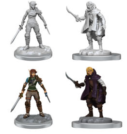 D&D Nolzur's - Elf Rogue & Half-Elf Rogue Protg 90582