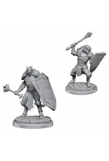 Wizkids D&D Nolzur's - Dragonborn Clerics 90522