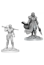 Wizkids D&D Nolzur's - Orc Fighter Female 90405