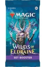 Wizards of the Coast MTG Wilds of Eldraine Set Booster