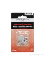 Wizkids D&D Nolzur's - Sahuagin Priestess 90705