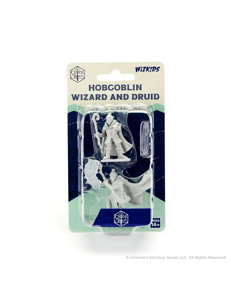 Wizkids Critical Role Hobgoblin Wizard and Druid
