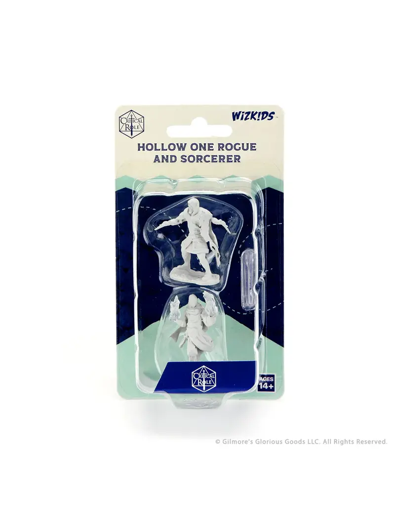 Wizkids Critical Role Hollow One Rogue and Sorcerer 90380