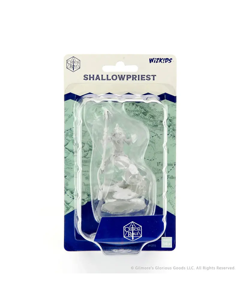 Wizkids Critical Role Shallowpriest