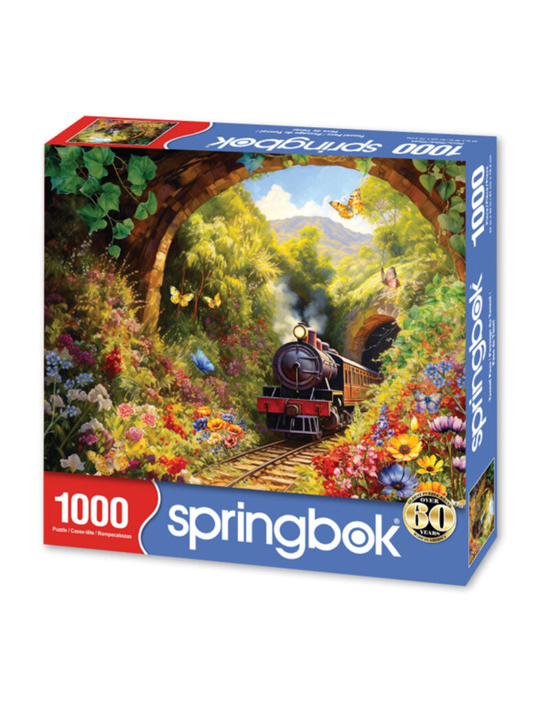 springbok Tunnel Pass - 1,000 Pc.