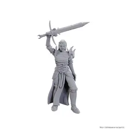 Wizkids D&D NULZOR UPM W25 BLACKGUARD