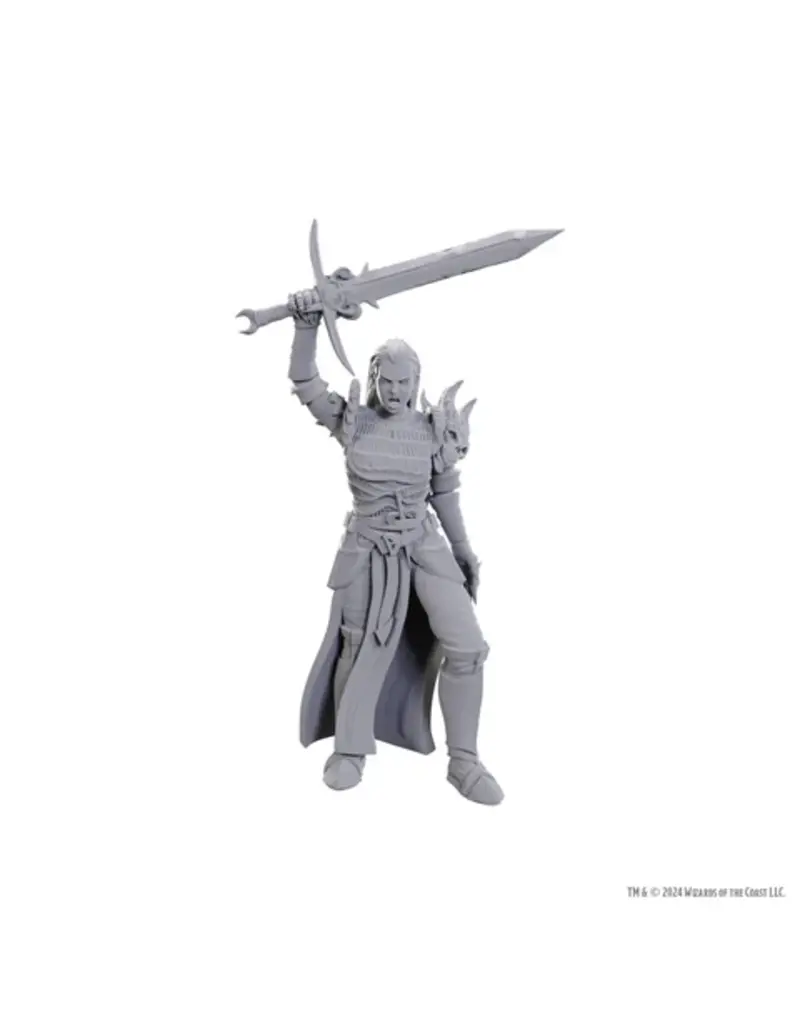 Wizkids D&D NULZOR UPM W25 BLACKGUARD