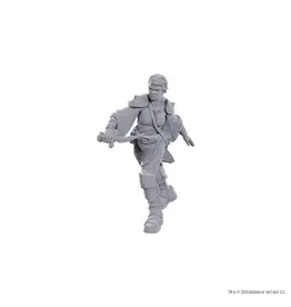 Wizkids D&D NULZOR UPM W25 SWASHBUCKLER