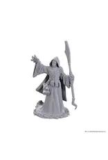 Wizkids D&D NULZOR UPM W25 STAR SPAWN LARVA MAGE