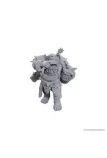 Wizkids D&D NULZOR UPM W25 OGRE SOLDIER