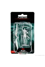 Wizkids D&D Nolzur's - Planetar 90313