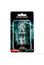 Wizkids D&D Nolzur's - Human Bard Male 90306