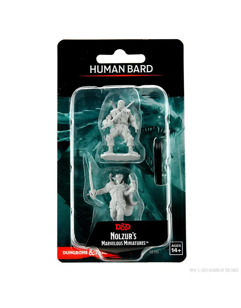 Wizkids D&D Nolzur's - Human Bard Male 90306