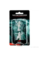 Wizkids D&D Nolzur's - Tiefling Sorcerer Female 90304