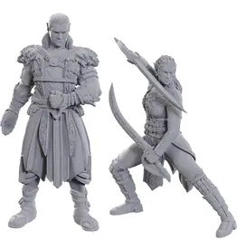 Wizkids D&D NOLZUR UPM SE BALDUR GATE 3 JAHEIRA & HALSIN