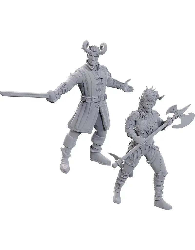 Wizkids D&D NOLZUR UPM SE BALDUR GATE 3 WYLL & KARLACH