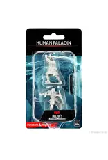 Wizkids D&D Nolzur's - Human Paladin Male 90220