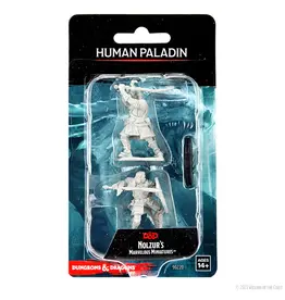Wizkids D&D Nolzur's - Human Paladin Male 90220