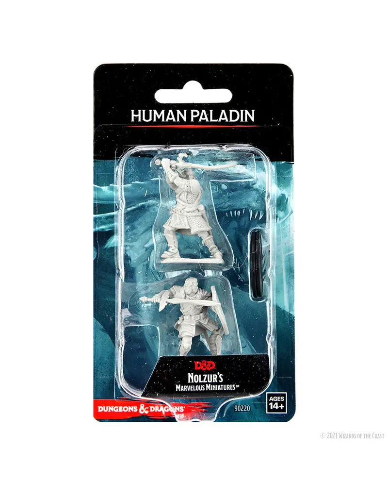 Wizkids D&D Nolzur's - Human Paladin Male 90220